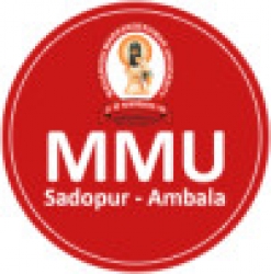 Maharishi Markandeshwar University Sadopur